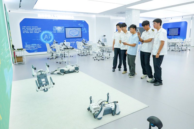 企业如何选择合适的网站建设服务？